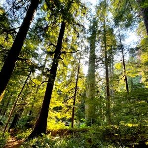 Meet your Posher, Abigail